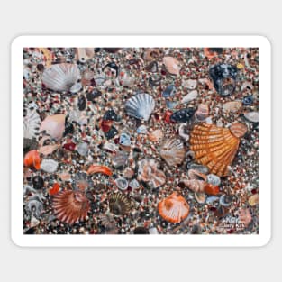 'Seashells & Sand' Sticker